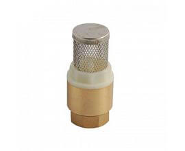Brass Spring Check Valve With SS Filter 