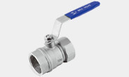 2 inch 200 WOG cast iron 2pc ball valve