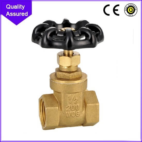  Full Way Gate Valve PN20 