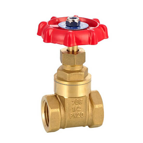 brass gate valve12